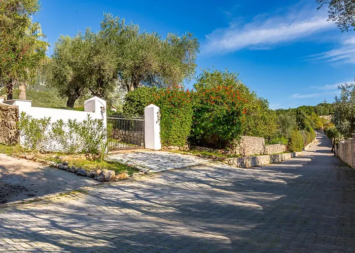 Cinque Palme By Corfu Solutions 别墅 *